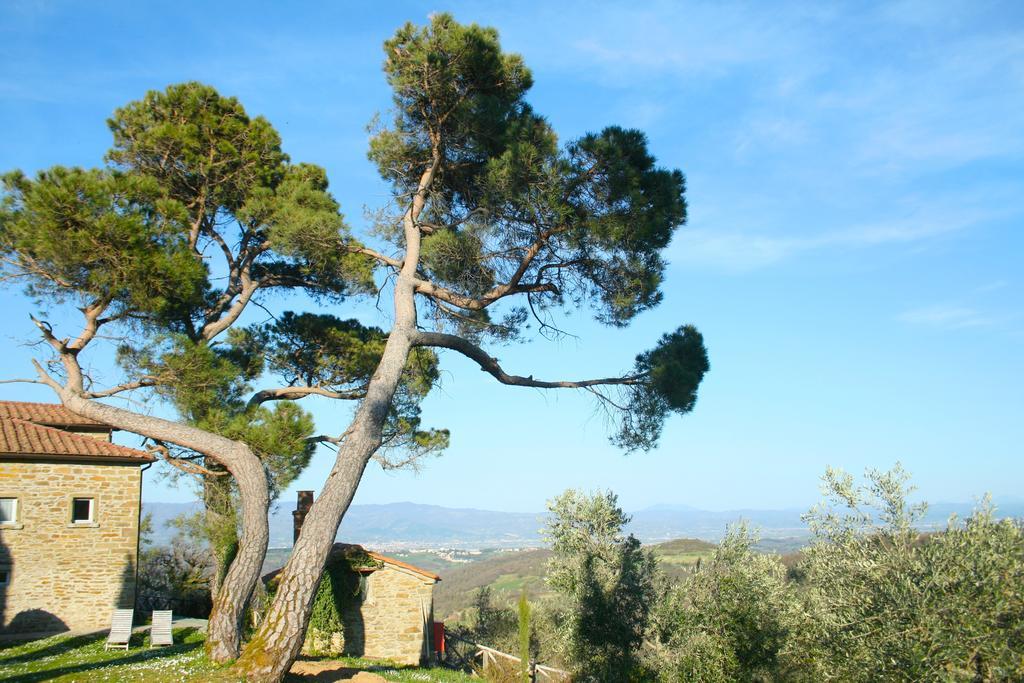 Relais Il Pozzeto Bed and Breakfast Anghiari Buitenkant foto