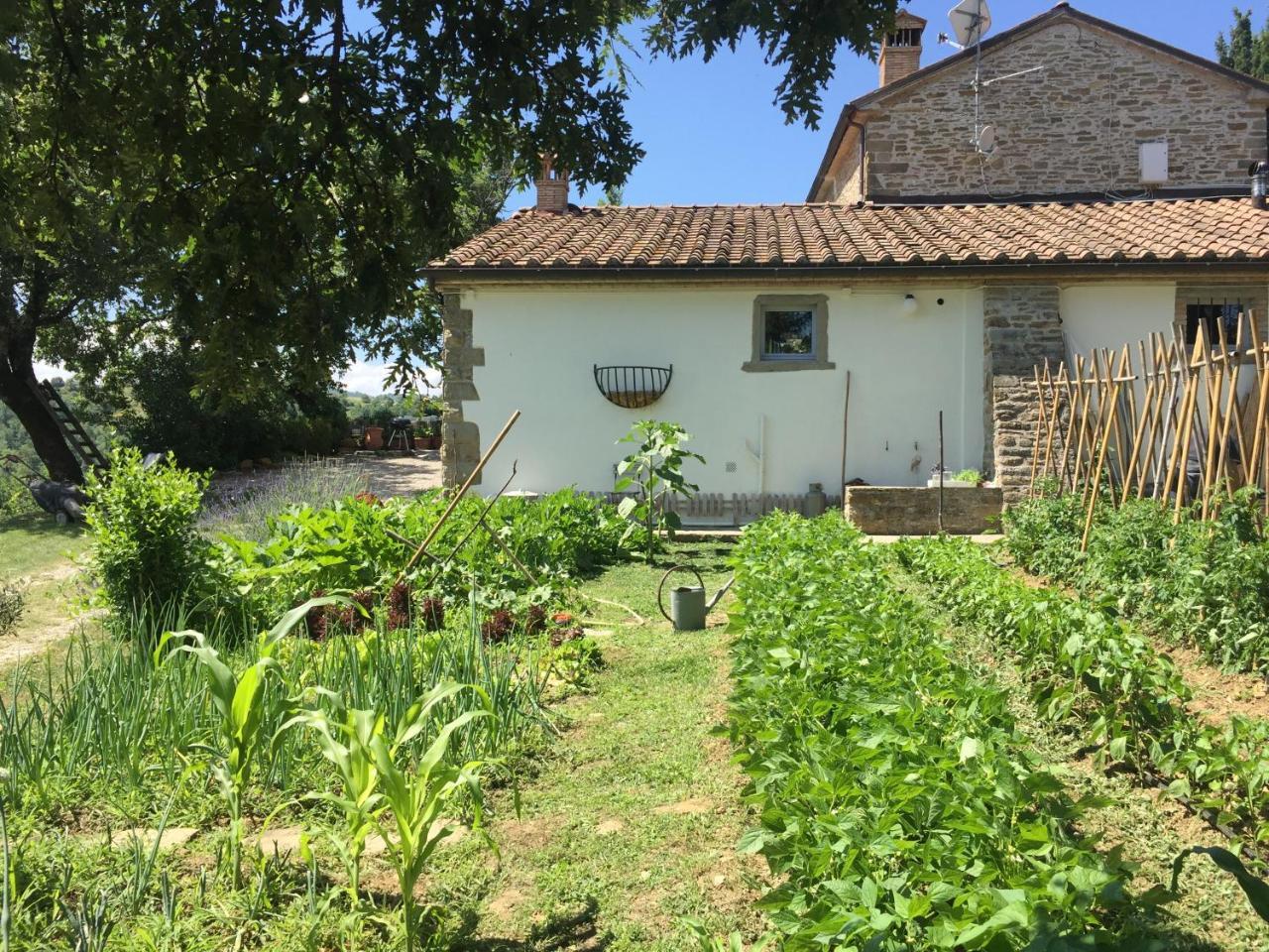 Relais Il Pozzeto Bed and Breakfast Anghiari Buitenkant foto